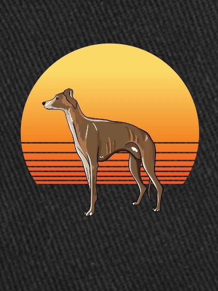 Windhund Sonne