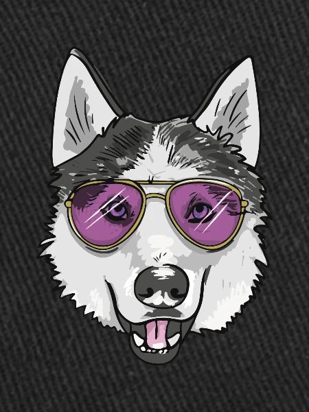 Husky cool