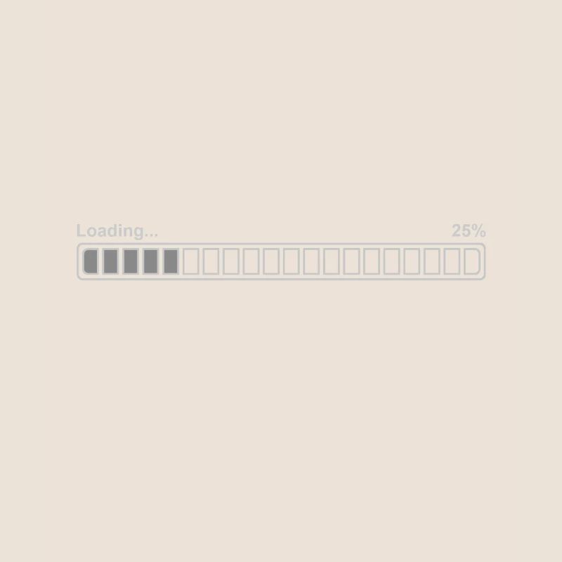 Loading bar 25%, bright
