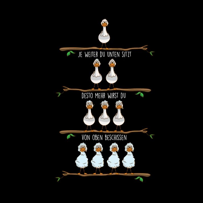 Seagulls hierarchy from above shoot North Germans