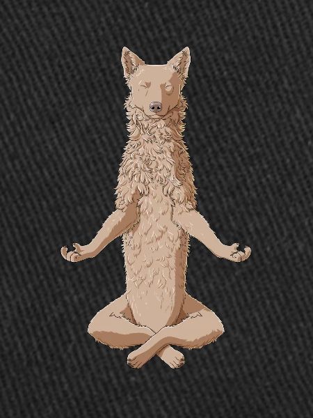 Chien Mudi méditant