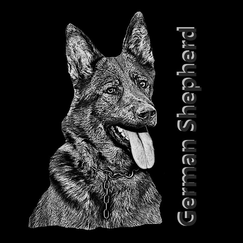 German Shepherd German Shepherd drawing