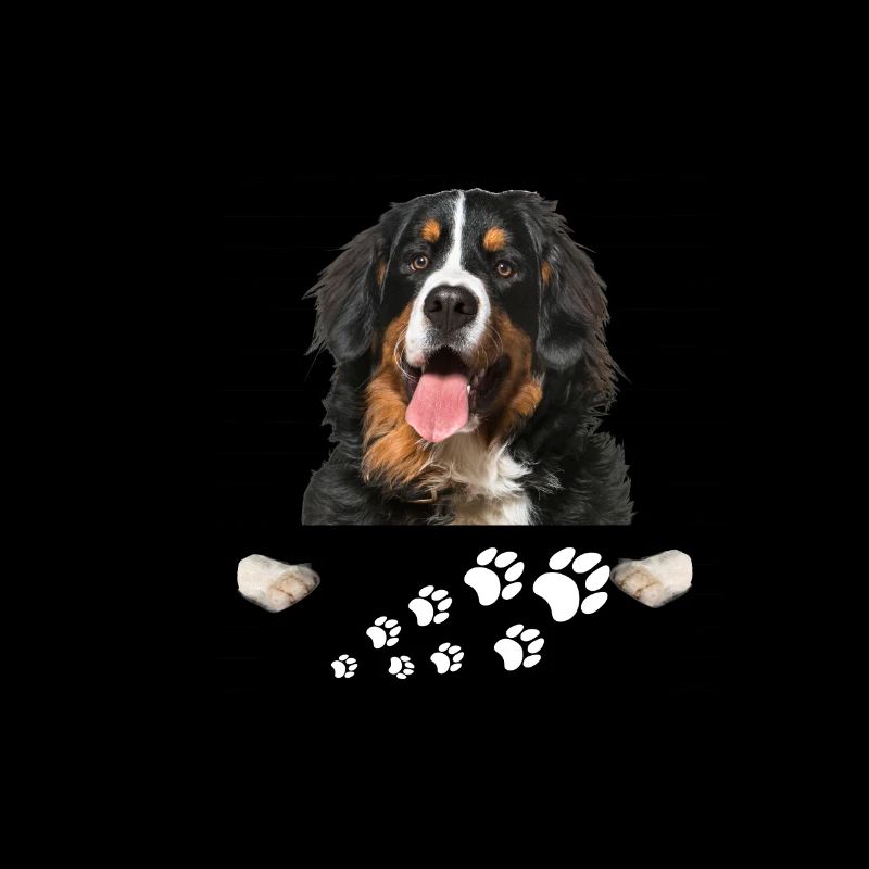 Berner Sennenhund