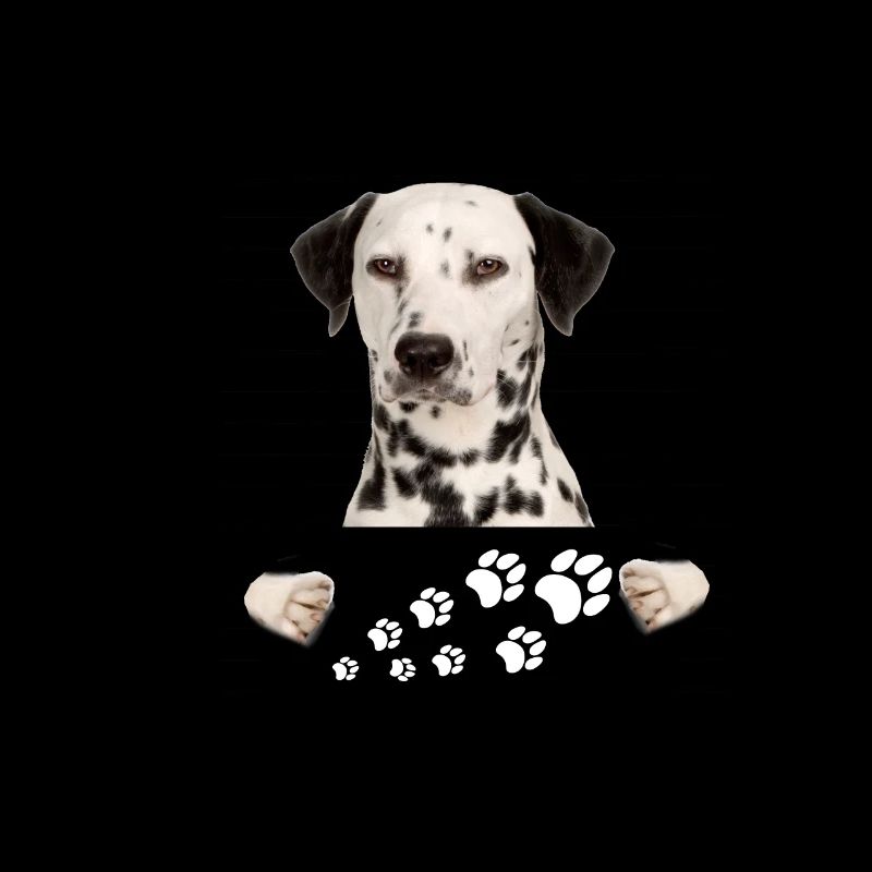 dalmatien