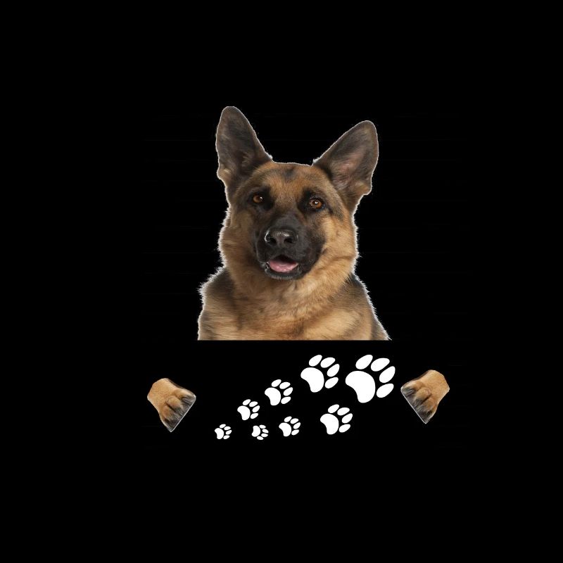 Deutscher Schäferhund