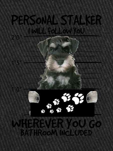 Schnauzer