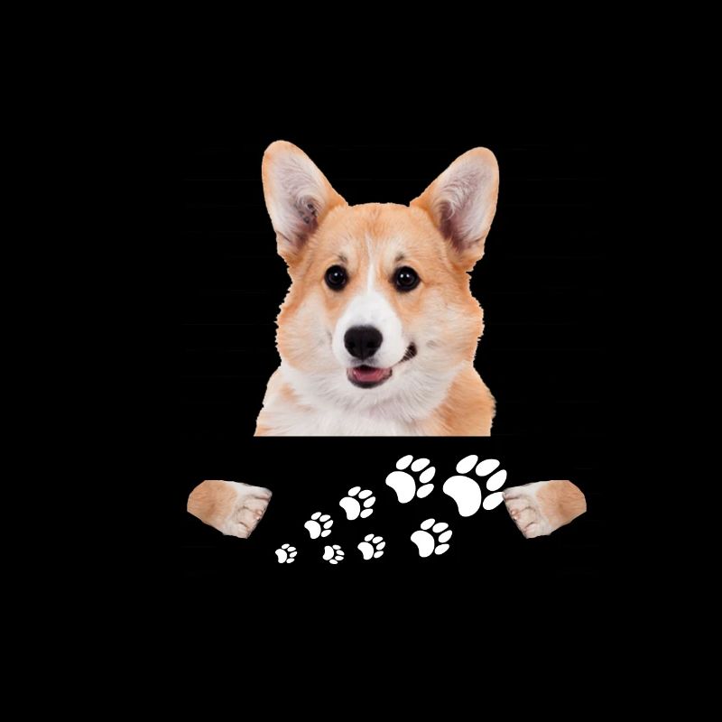 Welsh Corgi