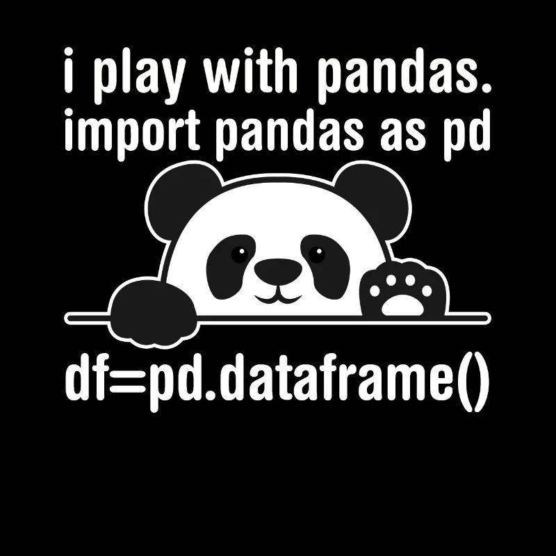 Programmeur Python Programmation panda nerd informatique