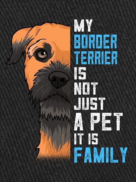 Idée cadeau Border Terrier