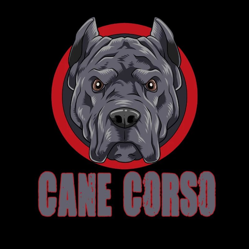 Cane Corso für einen Cane Corso Besitzer Cane
