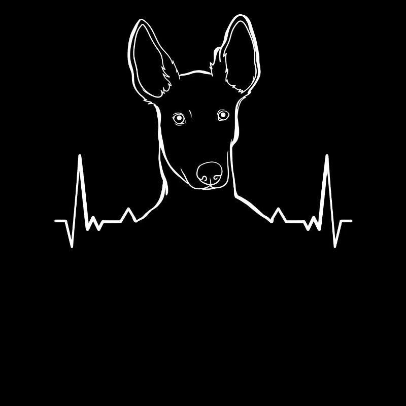 Podenco chien ECG