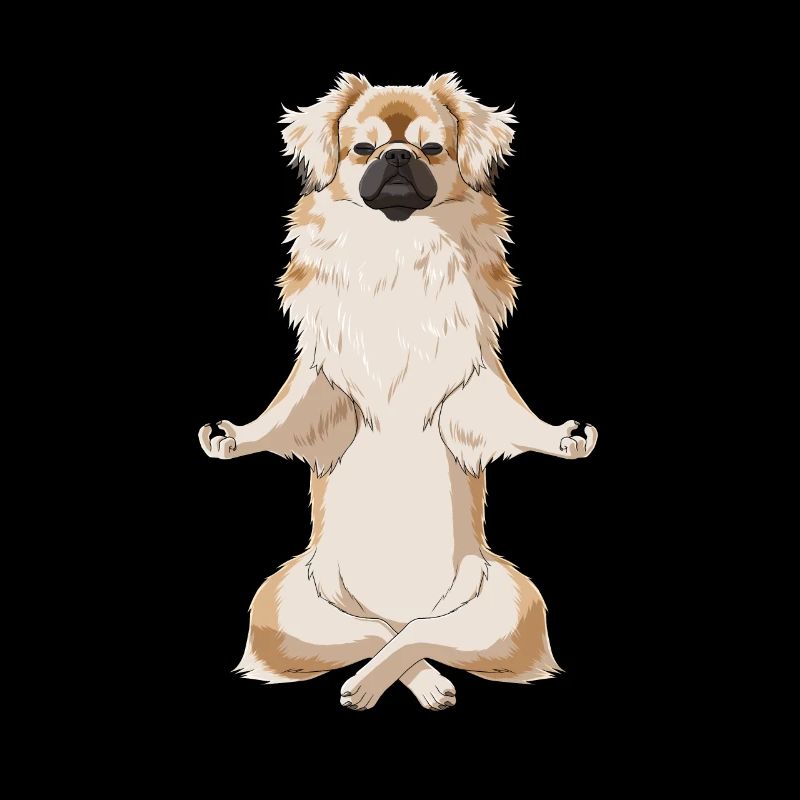 Meditierender TibetSpaniel Hund
