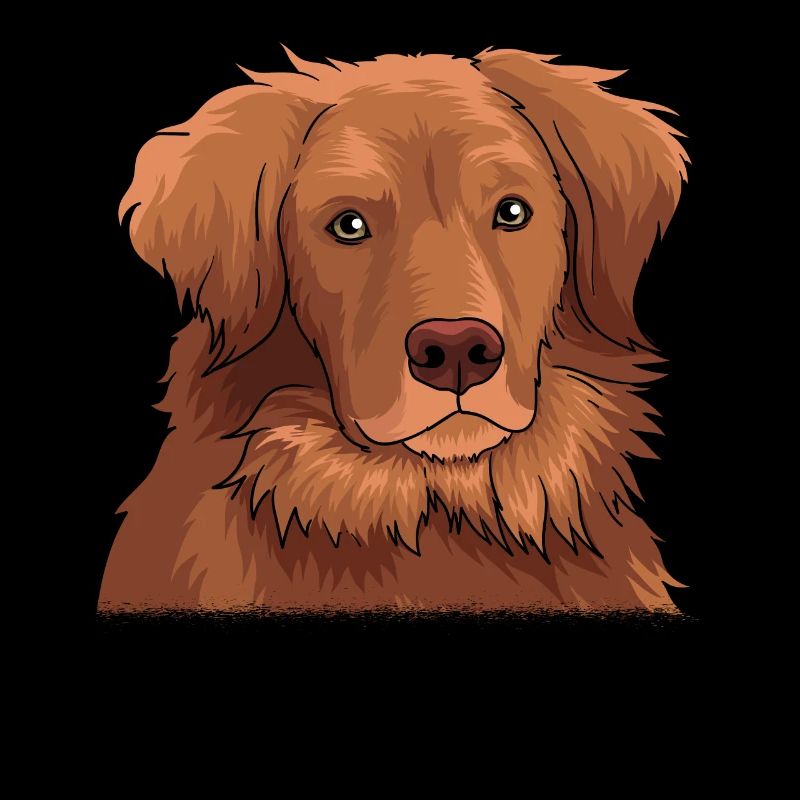 Chien Retriever de canard de la Nouvelle-Écosse