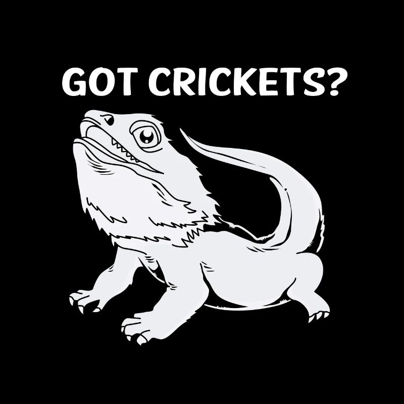 Bearded Dragon Bearded Dragon