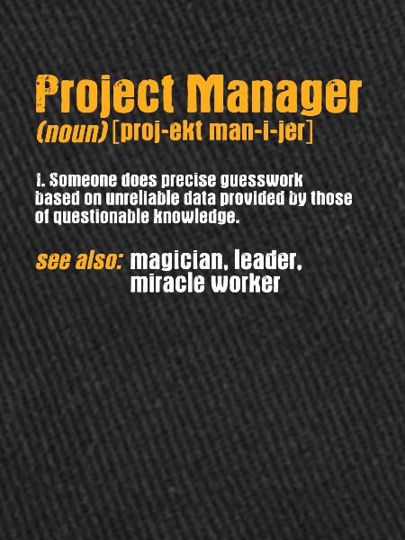 Project manager