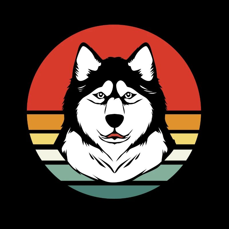 Chien de traîneau Malamute