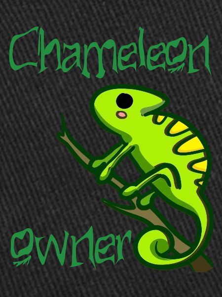 propriétaire de caméléon