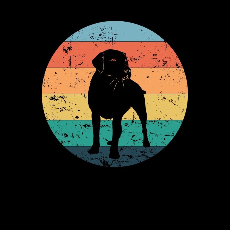 Ami de chien labrador