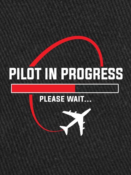 Pilot in progress
