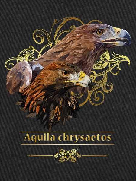 Aigle royal