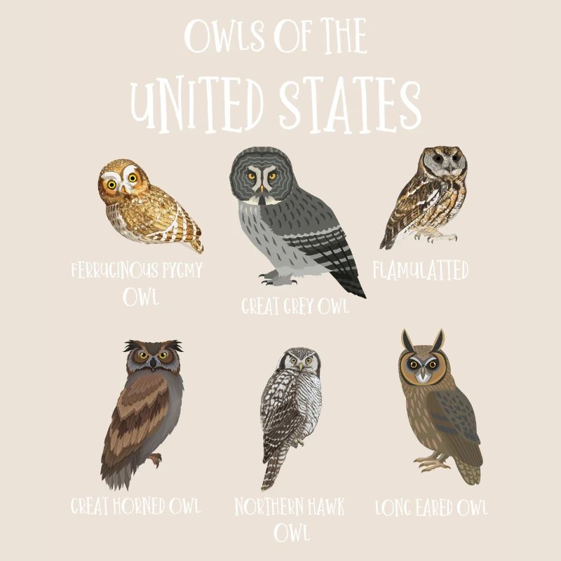 Eulenarten, Eulen & Kauze, Eule Fan