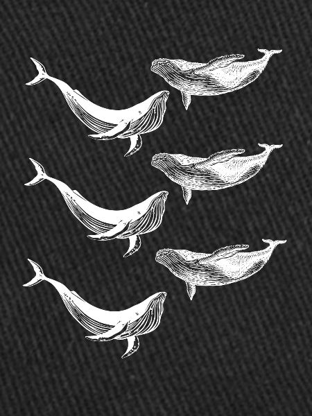 Baleines