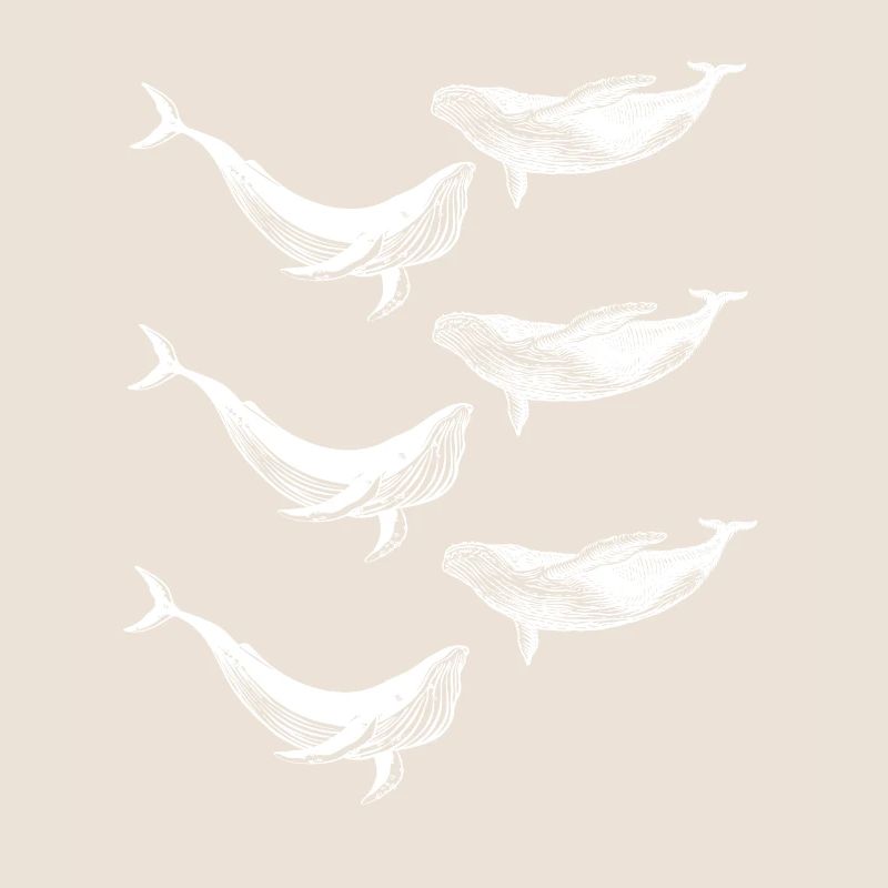 Baleines