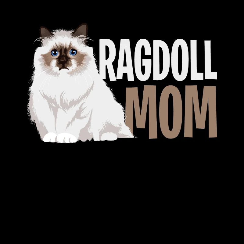 Ragdoll chat maman amant
