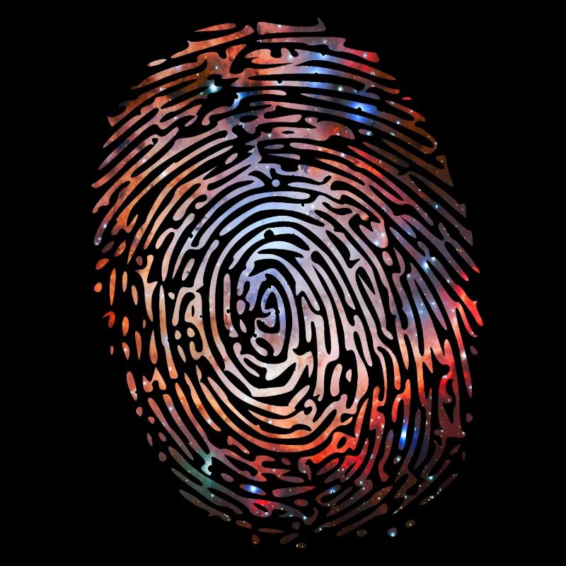 Empreinte de l’univers