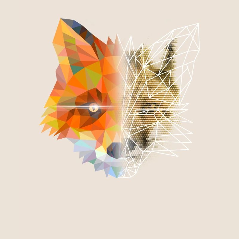 Fox Polygon Geometric Triangle Abstract Design