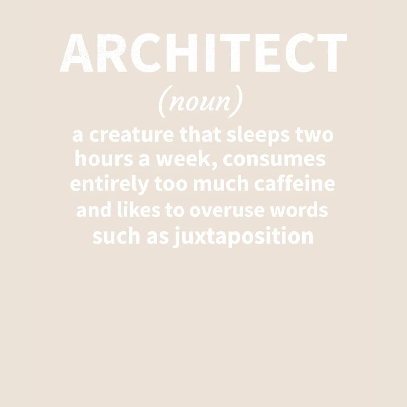 Architecture Gift Architecture Student Architect