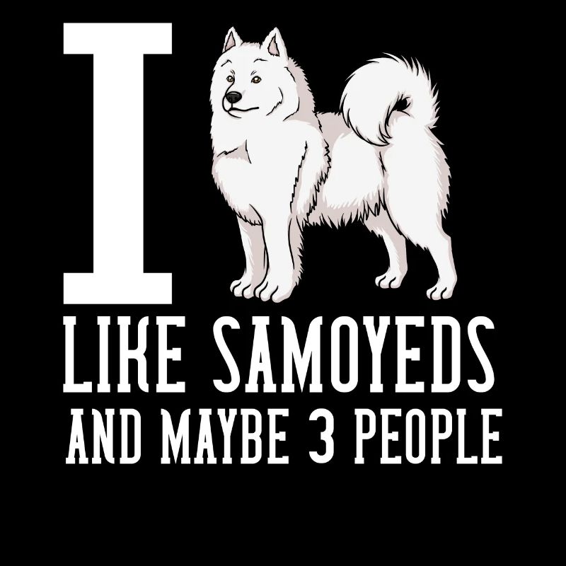 Samojede chien chiot propriétaire propriétaire amant