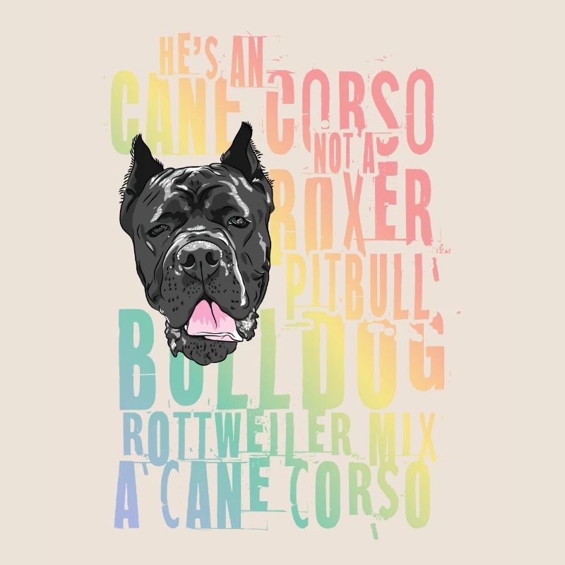 Cane Corso für einen Cane Corso Besitzer Cane