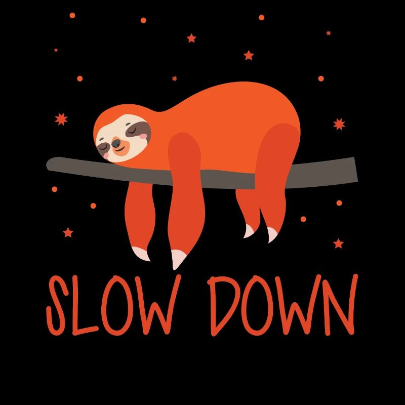 Sloth Slow Down