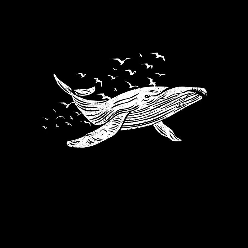 Baleines Marines Animaux marins Baleines