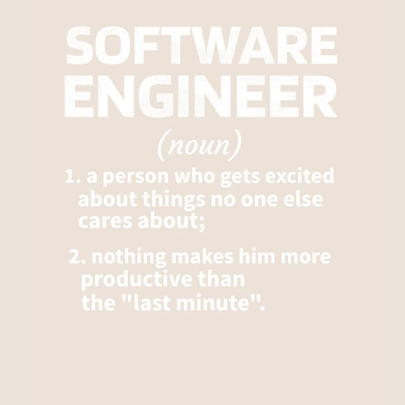 Softwareingenieur Software Engineer Techniker