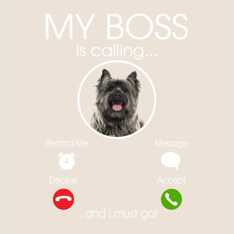 cairn terrier chien
