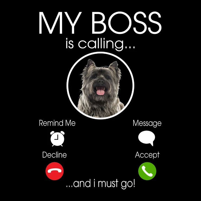 Cairn Terrier my Boss