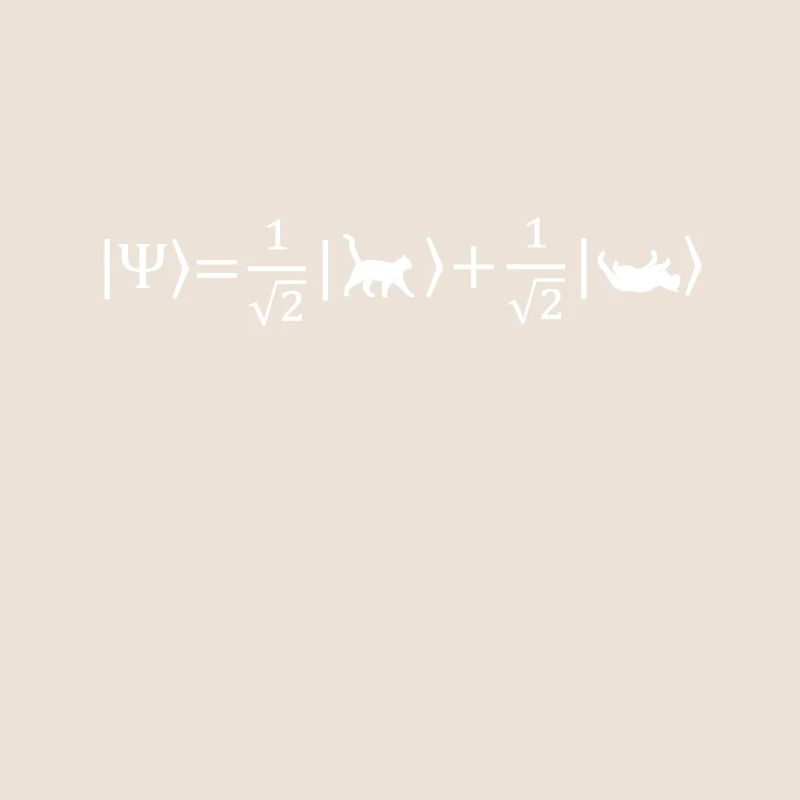 Schrödinger's Cat - Physicist Gift Physics Nerd