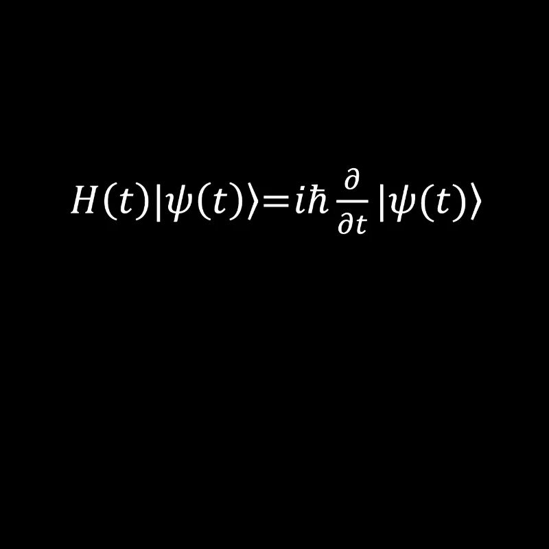 Schrödinger Equation Physicist Gift Physics