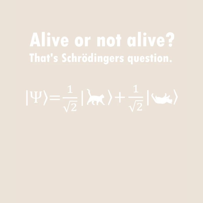 Schrödinger's Cat - Physicist Gift Physics Nerd