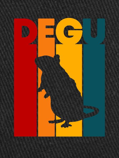 Degu Gift