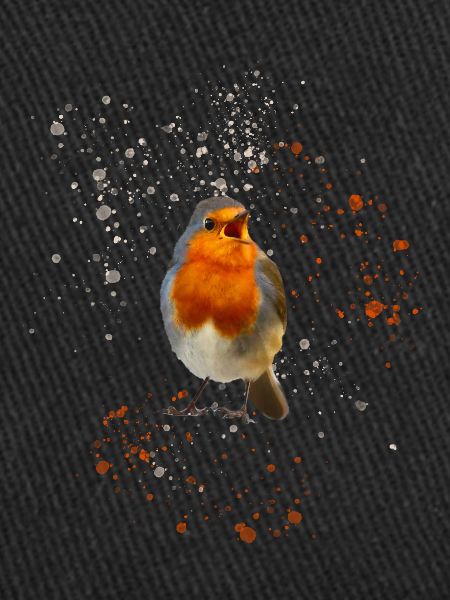 cute chirping robin Robin