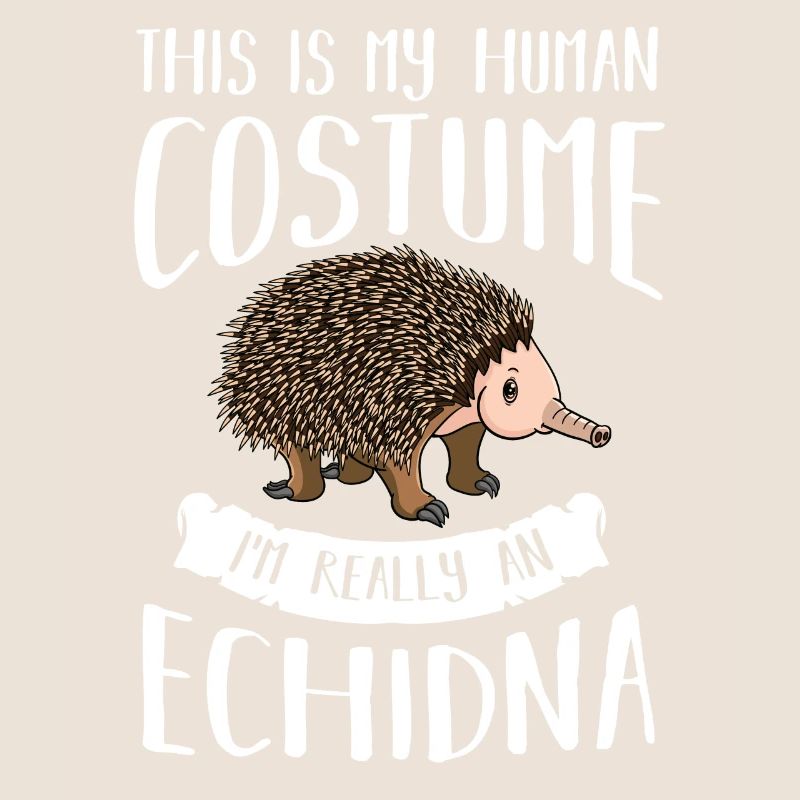 Echidna Ant Hedgehog Funny Hedgehog