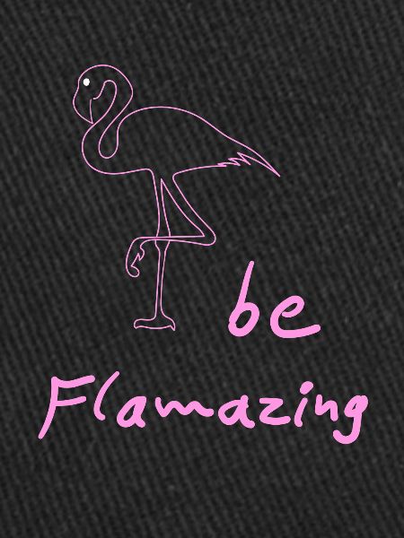 flamingo flamingos