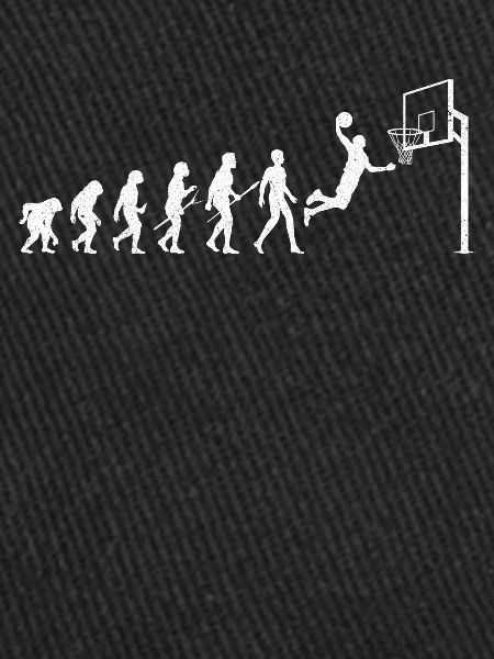 Basketball Evolution