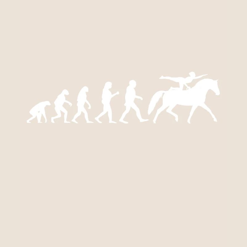 Evolution Voltigier Pferde Pferdesport Voltigieren