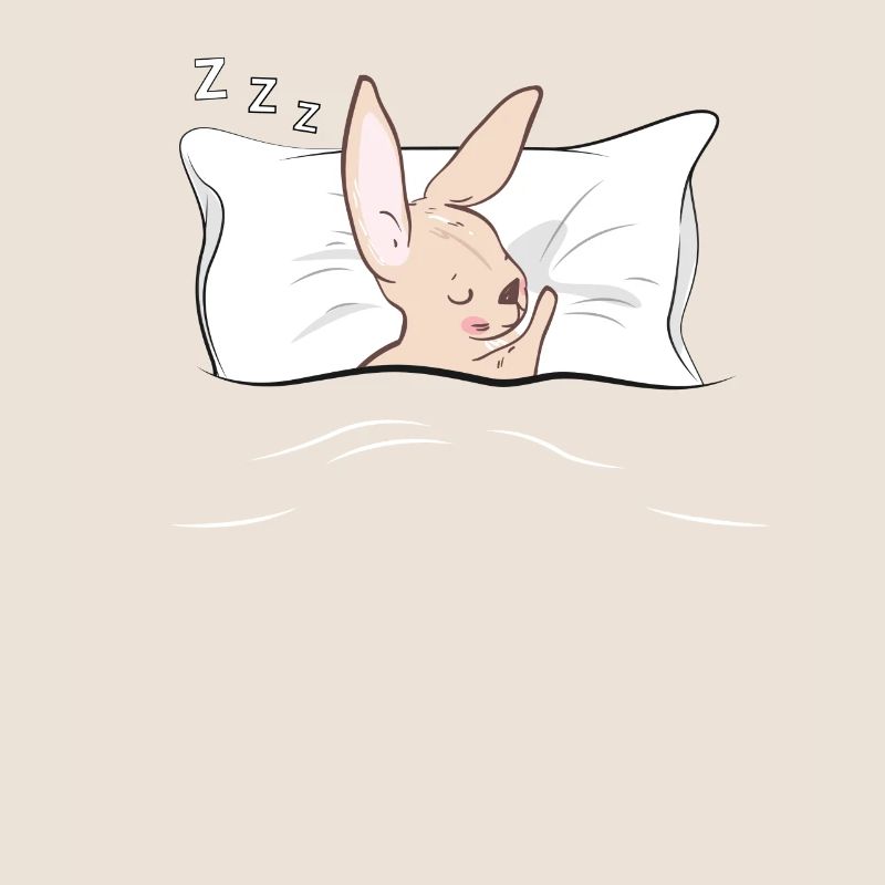 Pyjama pyjama lapin