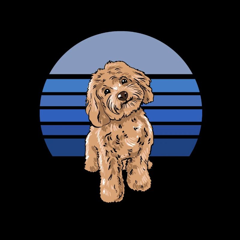 Cockapoo Blau Retro