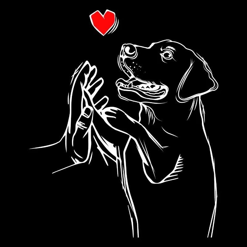 Labrador Retriever Liebe Labbi Hunde
